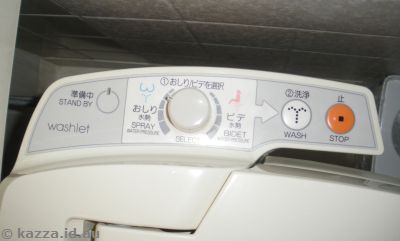 Toilet controls